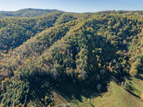 tbd Lick Ridge Rd, Check, VA 24072 photo 31