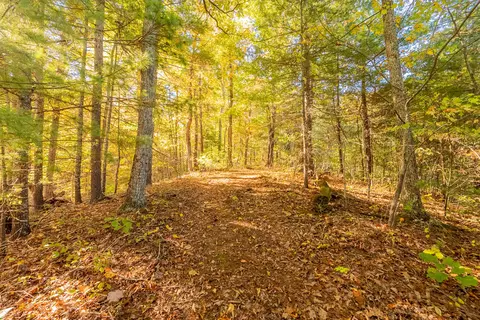tbd Lick Ridge Rd, Check, VA 24072 photo 60