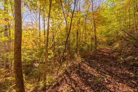 tbd Lick Ridge Rd, Check, VA 24072 photo 54