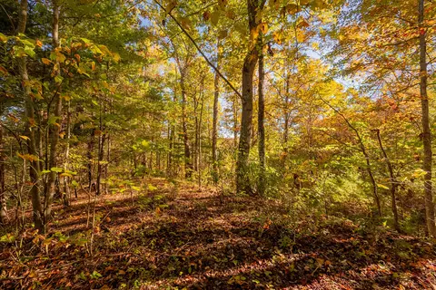tbd Lick Ridge Rd, Check, VA 24072 photo 67