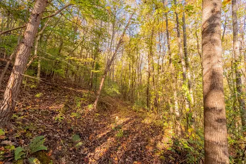 tbd Lick Ridge Rd, Check, VA 24072 photo 52