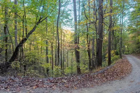tbd Lick Ridge Rd, Check, VA 24072 photo 37