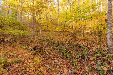 tbd Lick Ridge Rd, Check, VA 24072 photo 45