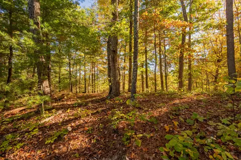 tbd Lick Ridge Rd, Check, VA 24072 photo 63