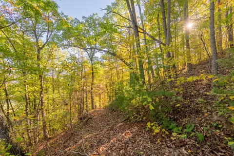 tbd Lick Ridge Rd, Check, VA 24072 photo 58