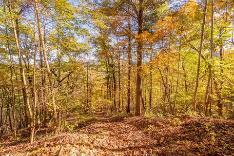 tbd Lick Ridge Rd, Check, VA 24072 photo 57