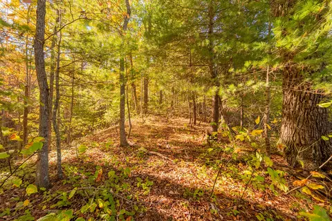 tbd Lick Ridge Rd, Check, VA 24072 photo 64