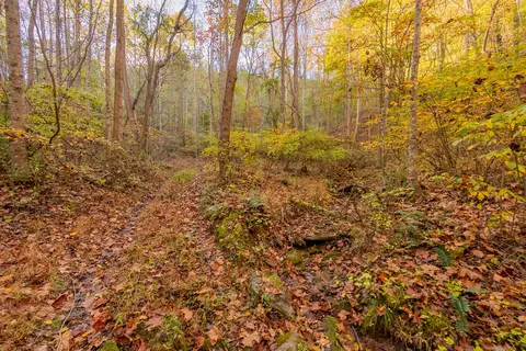 tbd Lick Ridge Rd, Check, VA 24072 photo 48
