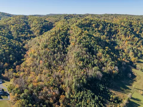 tbd Lick Ridge Rd, Check, VA 24072 photo 29