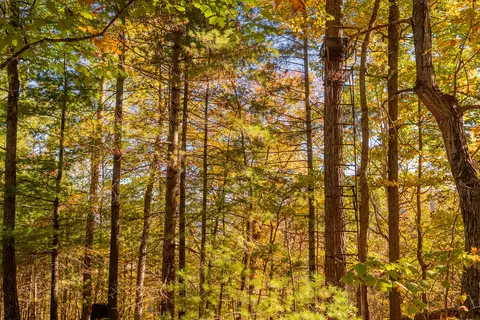 tbd Lick Ridge Rd, Check, VA 24072 photo 62