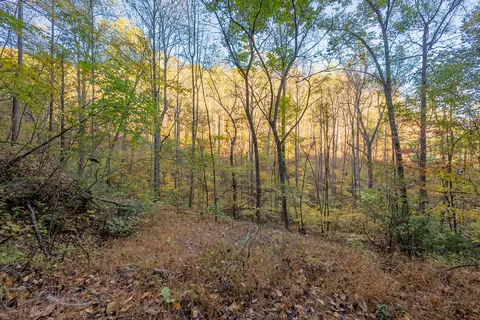 tbd Lick Ridge Rd, Check, VA 24072 photo 39
