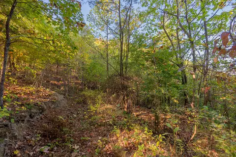 tbd Lick Ridge Rd, Check, VA 24072 photo 68