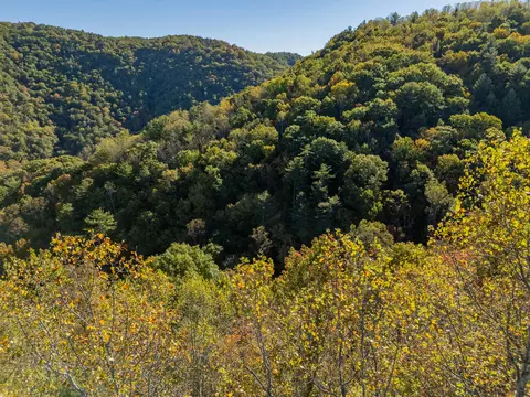 tbd Lick Ridge Rd, Check, VA 24072 photo 19