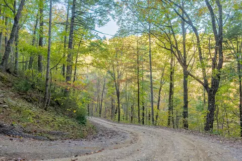 tbd Lick Ridge Rd, Check, VA 24072 photo 38