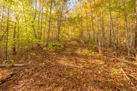 tbd Lick Ridge Rd, Check, VA 24072 photo 55