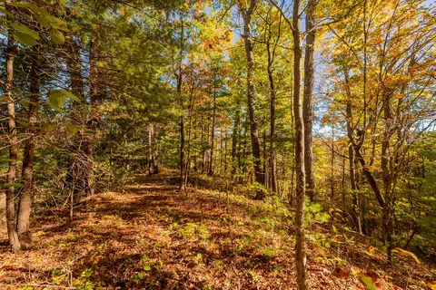 tbd Lick Ridge Rd, Check, VA 24072 photo 65