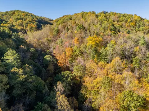 tbd Lick Ridge Rd, Check, VA 24072 photo 5