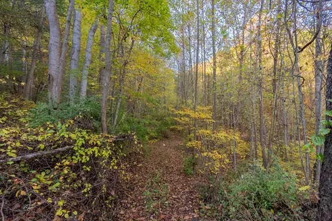 tbd Lick Ridge Rd, Check, VA 24072 photo 41