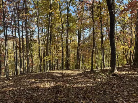 lot2 Snidow Dr, Goodview, VA 24095