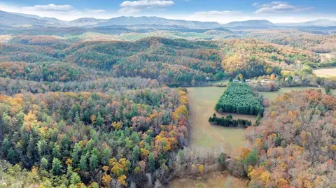View/Area - 549 Clydes Rd, Eagle Rock, VA 24085 photo 5 of 7