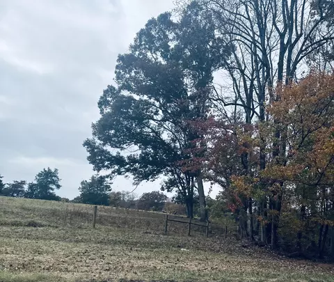 0 Scruggs Rd, Moneta, VA 24121