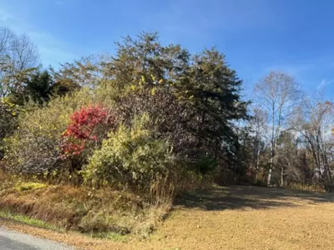 lot16 Walnut Run Dr, Hardy, VA 24101