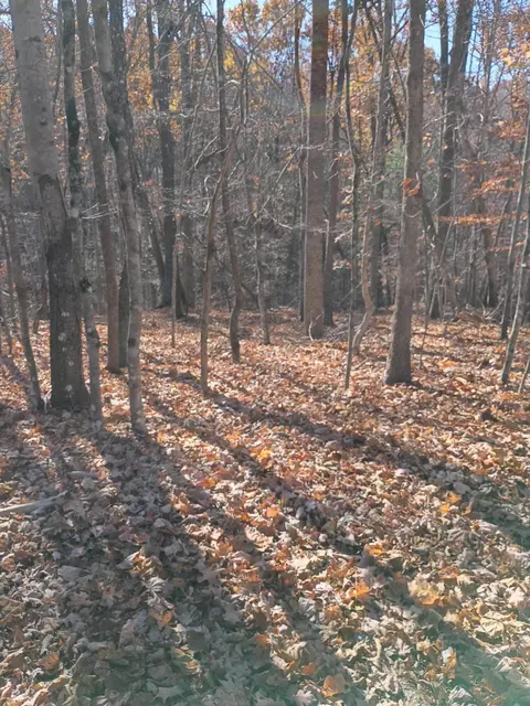 55 Old Barn Rd, Moneta, VA 24121 photo 2