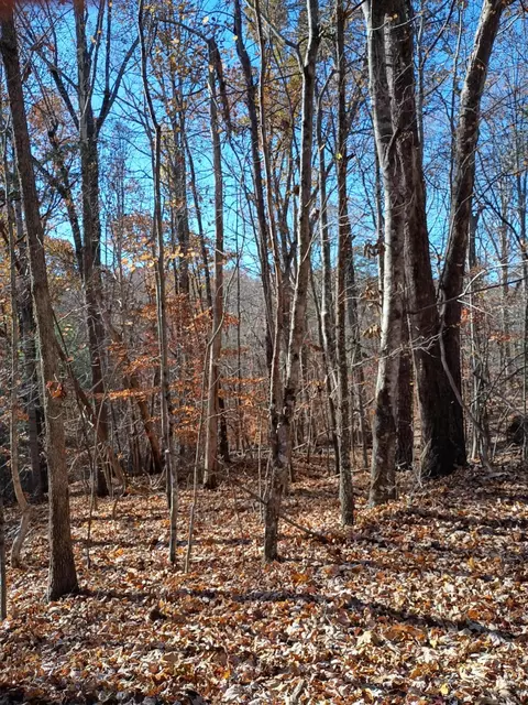 55 Old Barn Rd, Moneta, VA 24121