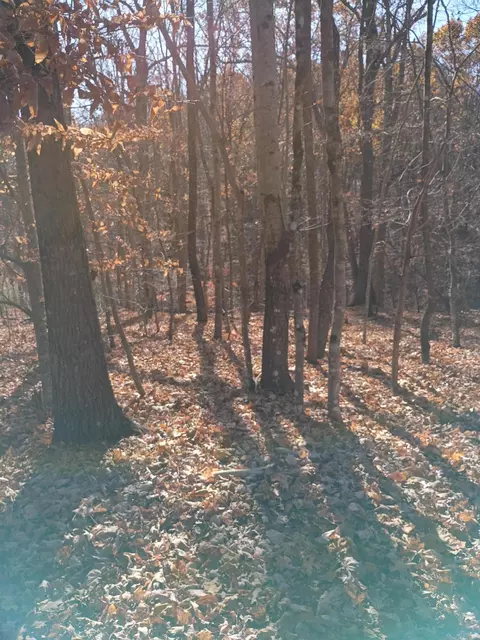 55 Old Barn Rd, Moneta, VA 24121 photo 3