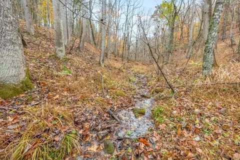 Other - 528 Falling Branch Rd NW, Floyd, VA 24091 photo 17 of 22