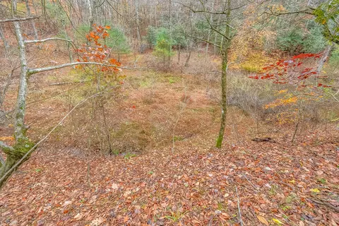 Other - 528 Falling Branch Rd NW, Floyd, VA 24091 photo 15 of 22
