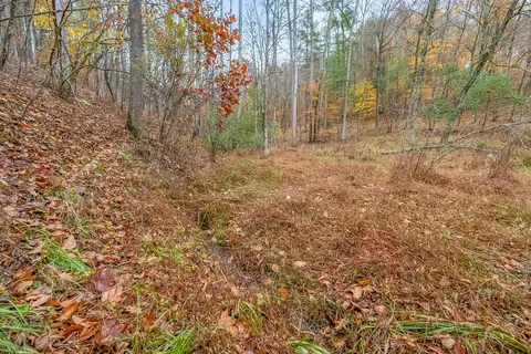 Other - 528 Falling Branch Rd NW, Floyd, VA 24091 photo 16 of 22