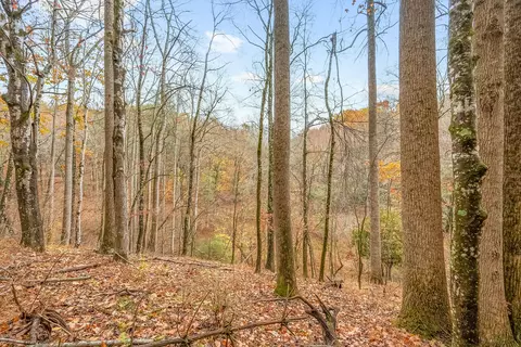 Exterior - 528 Falling Branch Rd NW, Floyd, VA 24091 photo 10 of 27