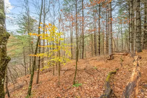 Exterior - 528 Falling Branch Rd NW, Floyd, VA 24091 photo 11 of 27