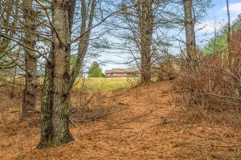 Exterior - 528 Falling Branch Rd NW, Floyd, VA 24091 photo 15 of 27