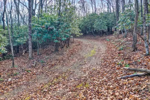15885 Woolvine Hwy, Floyd, VA 24091 photo 17
