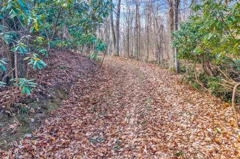 15885 Woolvine Hwy, Floyd, VA 24091 photo 19
