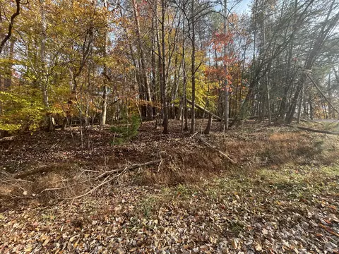 000 Stripers Ln, Moneta, VA 24121