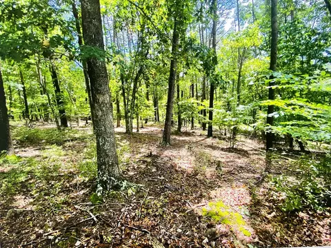 lot97 Greenberry Dr, Pittsville, VA 24139