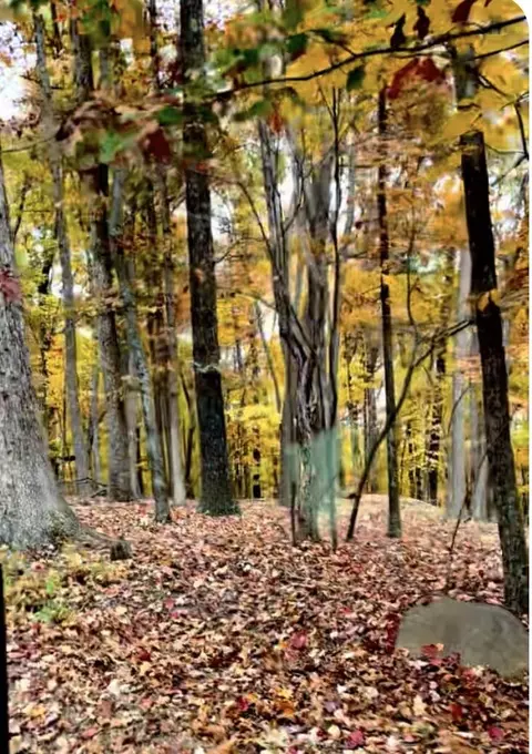 lot17 Vista Pkwy, Hardy, VA 24101