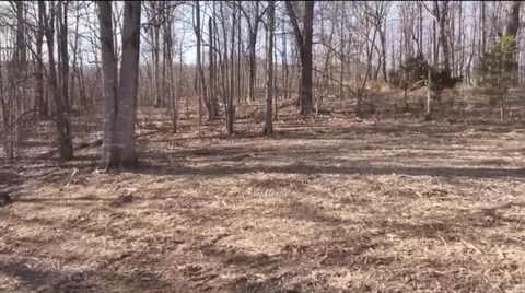 0 Little Catawba Creek Rd, Troutville, VA 24175