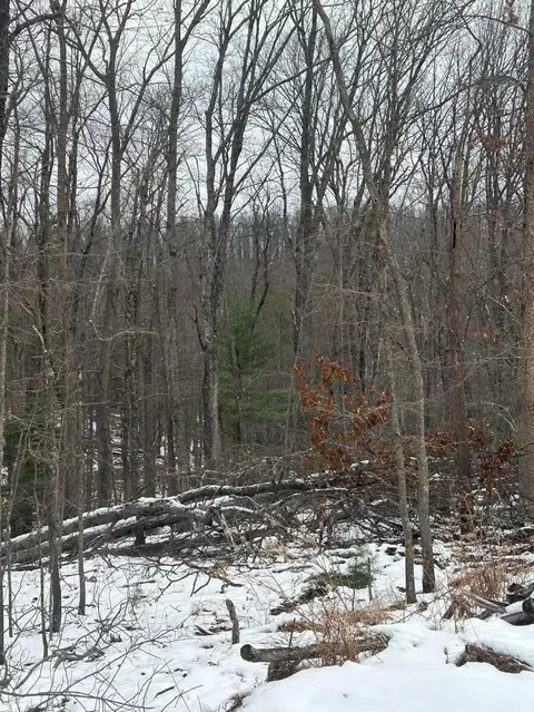 0 Timber Trail Ln, Hardy, VA 24101 photo 2