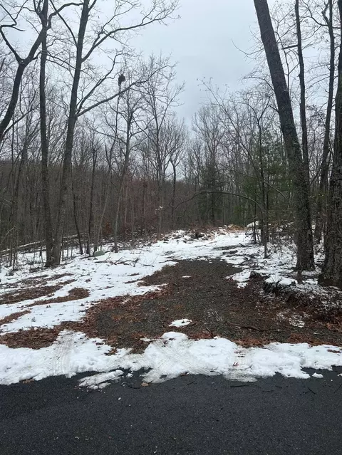 0 Timber Trail Ln, Hardy, VA 24101