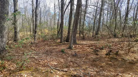 0 Timber Trail Ln, Hardy, VA 24101 photo 4