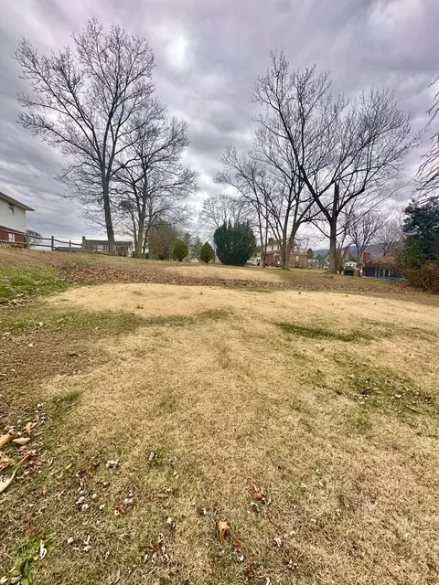 2714 Jackson River Rd, Covington, VA 24426 photo 13