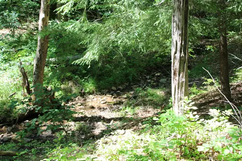 Other - 7923 Poor Mountain Rd, Bent Mountain, VA 24059 photo 31 of 39