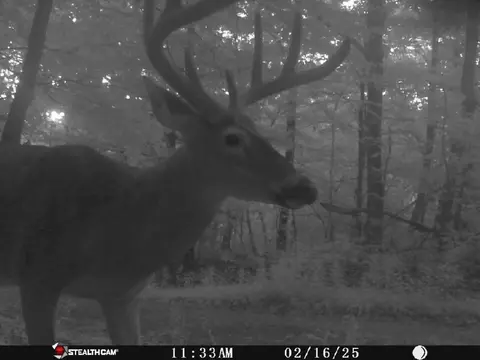 Other - 7923 Poor Mountain Rd, Bent Mountain, VA 24059 photo 24 of 39
