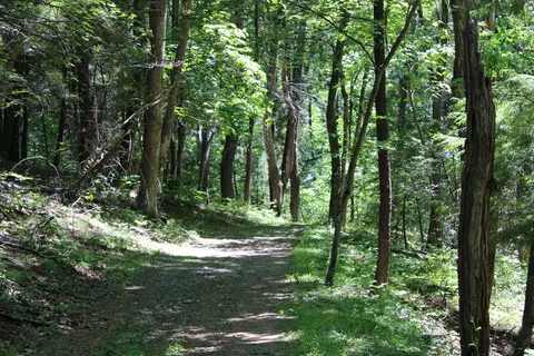 Other - 7923 Poor Mountain Rd, Bent Mountain, VA 24059 photo 27 of 39