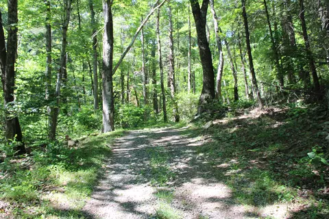 Other - 7923 Poor Mountain Rd, Bent Mountain, VA 24059 photo 34 of 39