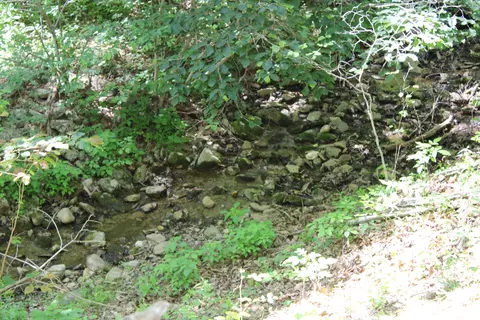 Other - 7923 Poor Mountain Rd, Bent Mountain, VA 24059 photo 29 of 39